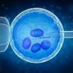 DPI et FIV : deux fois plus d’espoir pour réaliser votre rêve de parentalité